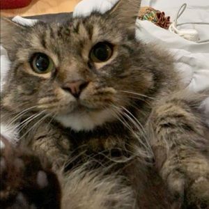 Meet your Posher, Elissa